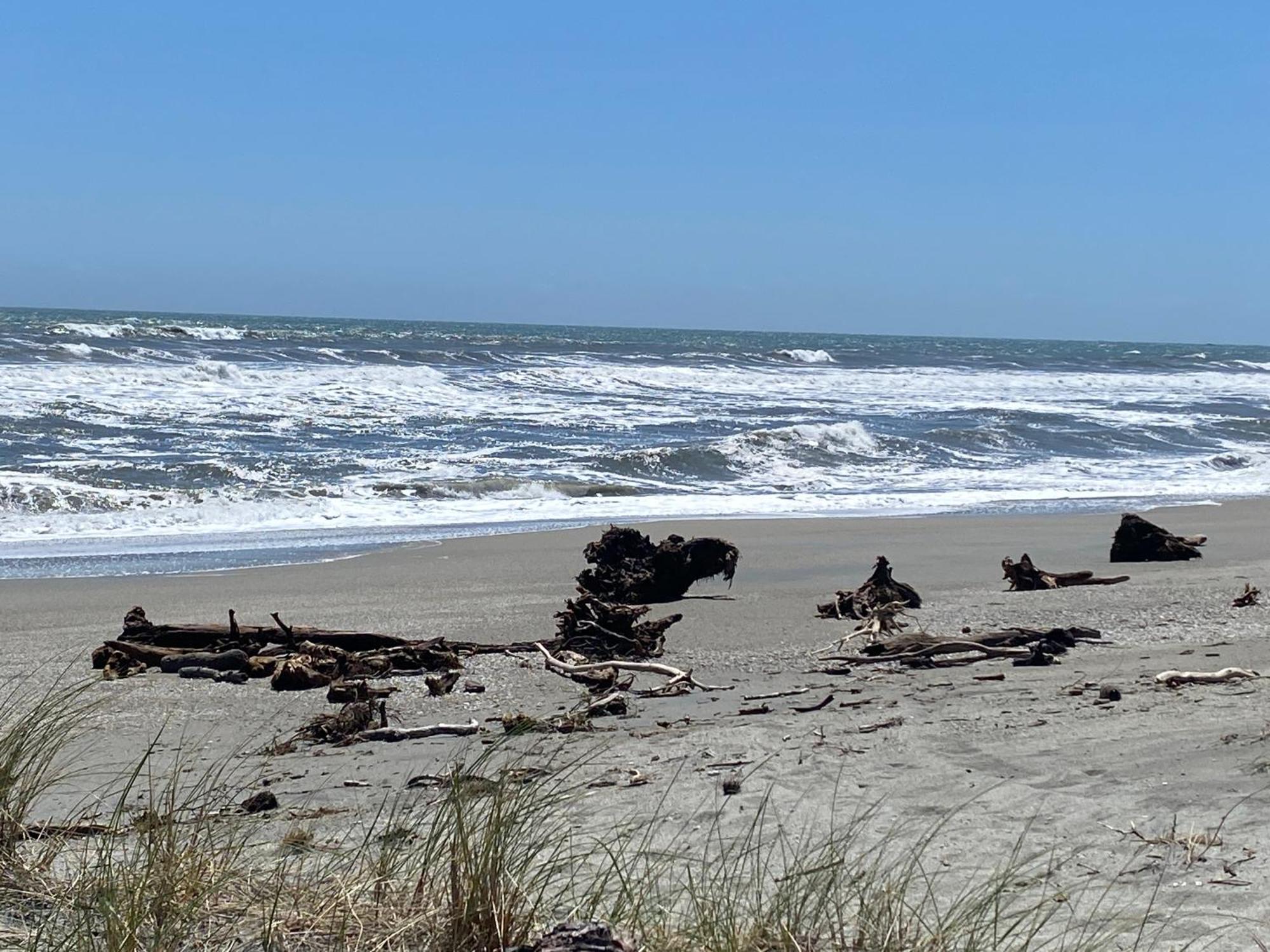 Heritage Park Lodge Haast Luaran gambar