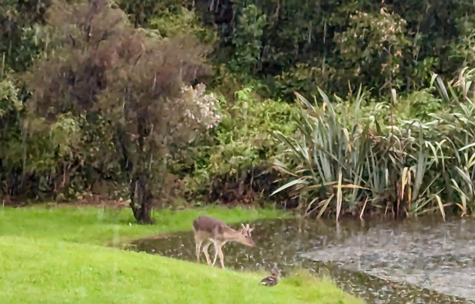 Heritage Park Lodge Haast Luaran gambar